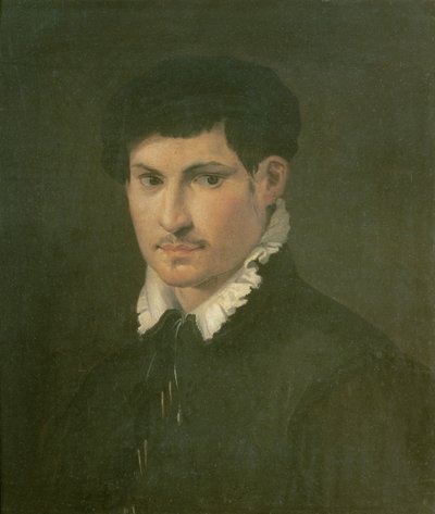 Portrait of a Young Man, c.1540 by Nicolo dell Abate
